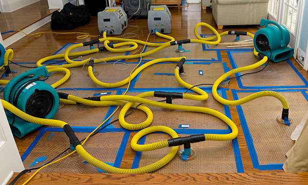 Professional Crawl Space Water Removal technician working in Marine On Saint Croix, MN